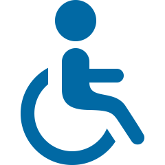 ic-disability
